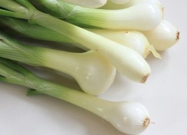 16 продуктов, которые можно вырастить дома